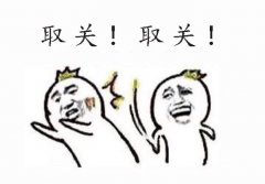 淺談棕櫚墊